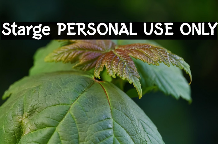 Starge PERSONAL USE ONLY Example 1