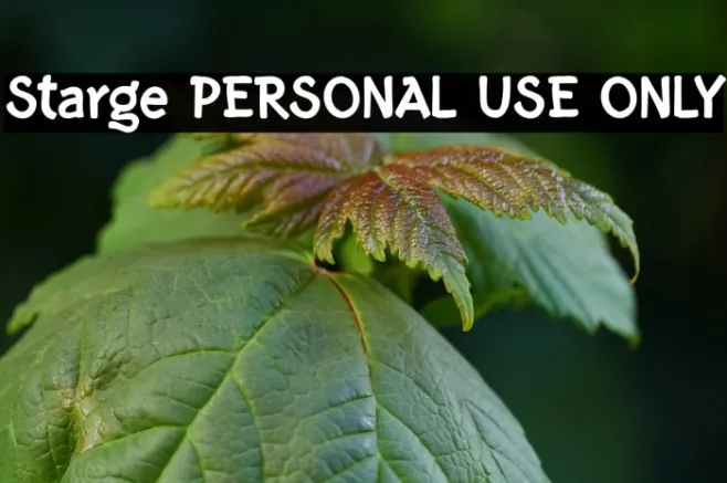 Starge PERSONAL USE ONLY Example 1
