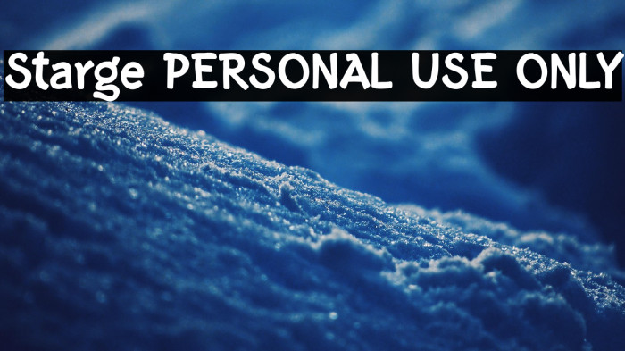 Starge PERSONAL USE ONLY Example 2