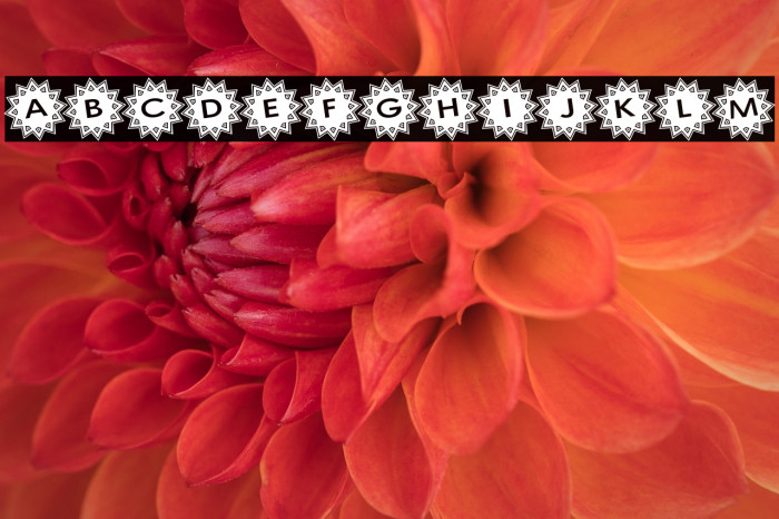 Stargit Ver2 Example 1