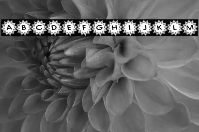 Stargit Ver2 フォント examples