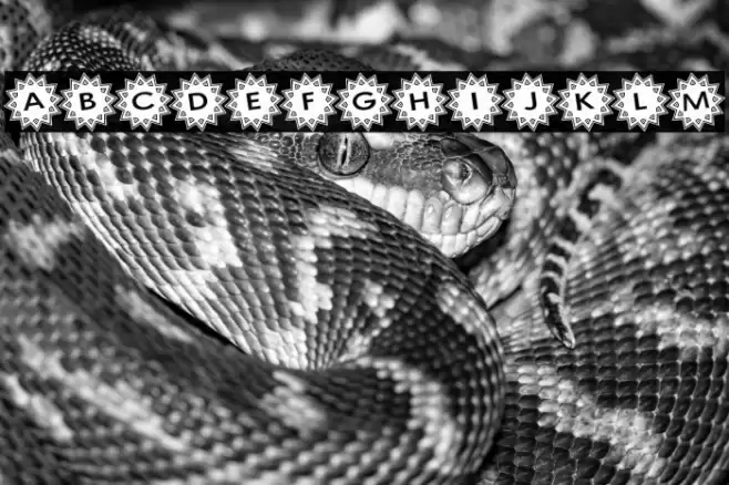 Stargit Ver2 フォント examples