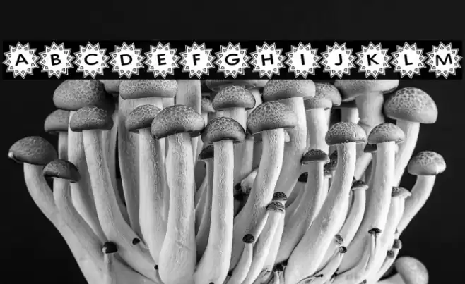 Stargit Ver2 フォント examples