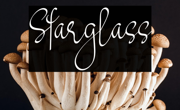Starglass Example 1