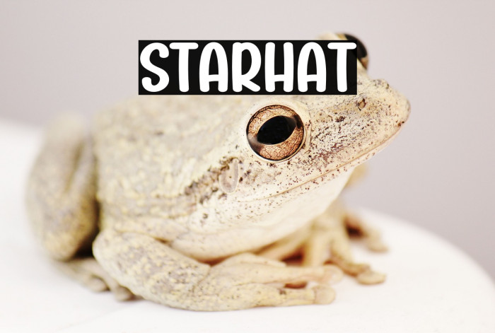Starhat Example 2