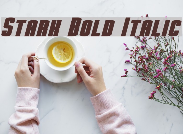 Stark Bold Italic Example 1