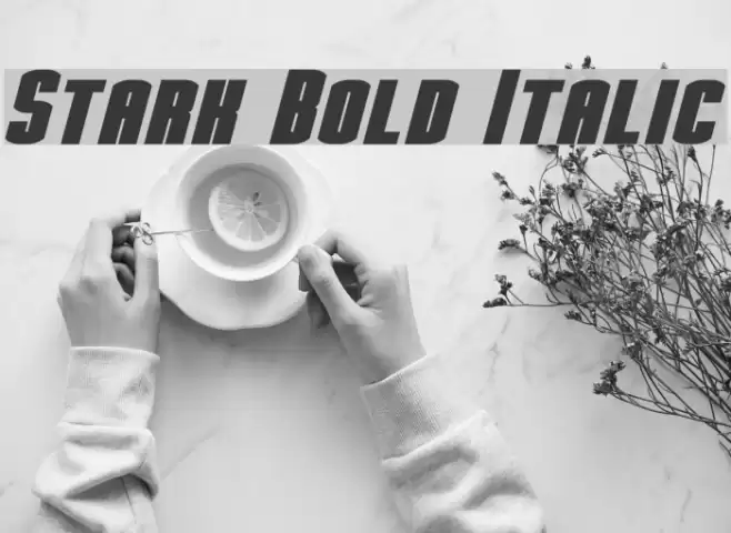Stark Bold Italic Font examples