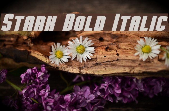 Stark Bold Italic Example 3
