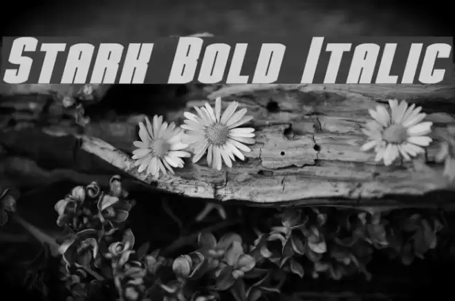 Stark Bold Italic Font examples