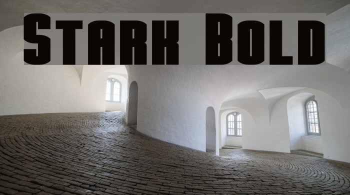 Stark Bold Example 1