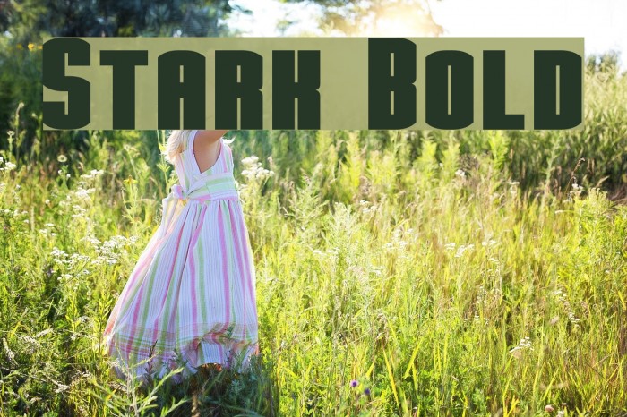 Stark Bold Example 2