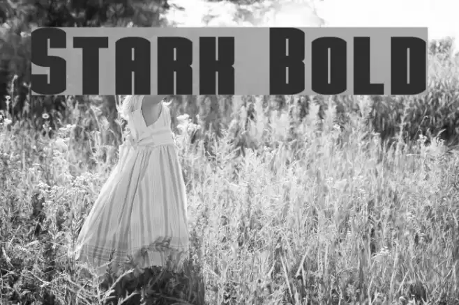 Stark Bold Font examples