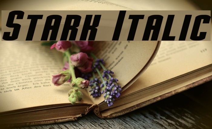 Stark Italic Шрифта examples