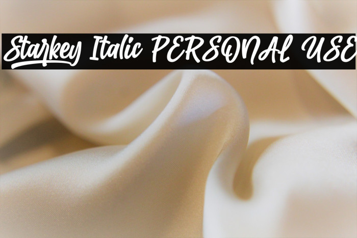 Starkey Italic PERSONAL USE Example 1