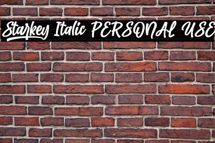 Starkey Italic PERSONAL USE Example 2