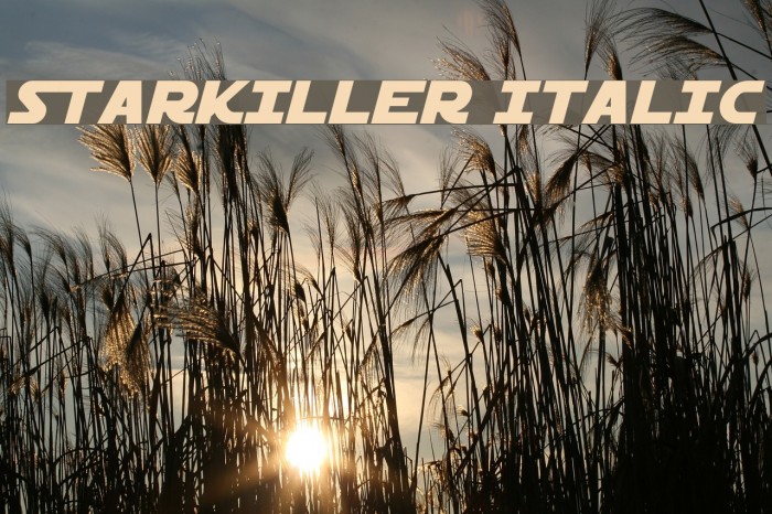 Starkiller Italic Font examples