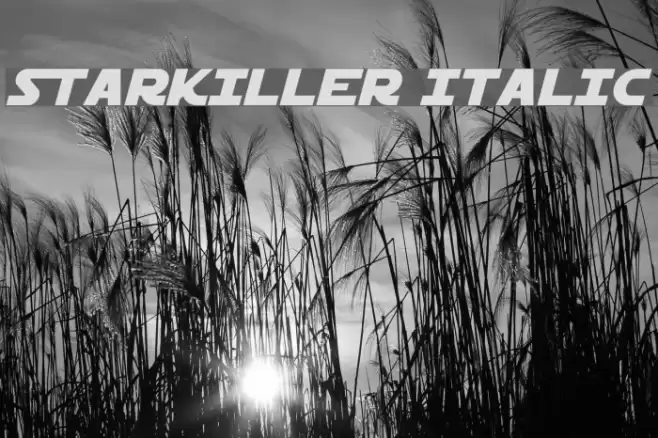 Starkiller Italic examples