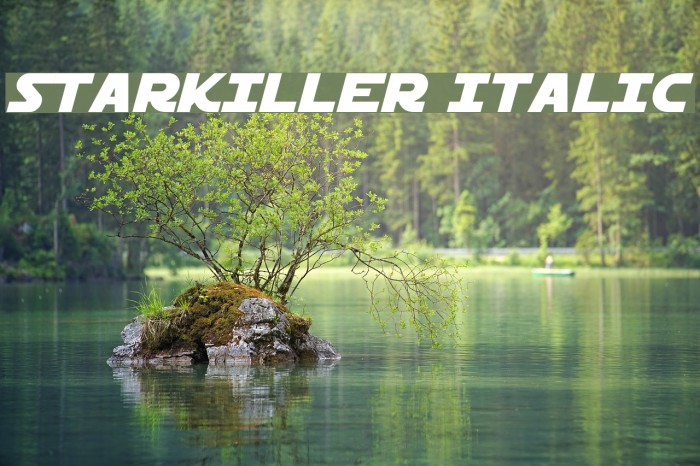 Starkiller Italic Font examples