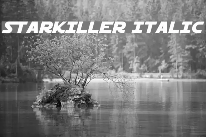 Starkiller Italic examples