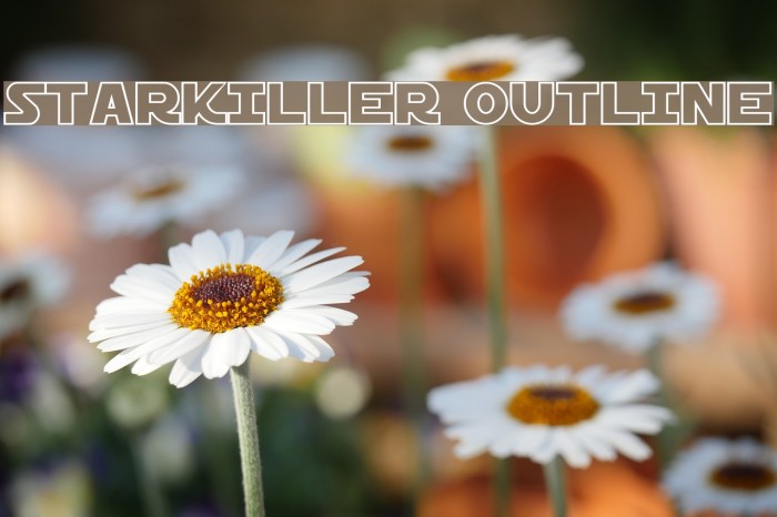 Starkiller Outline Example 1