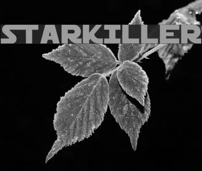 Starkiller Шрифта examples