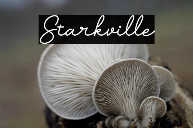 Starkville Example 2
