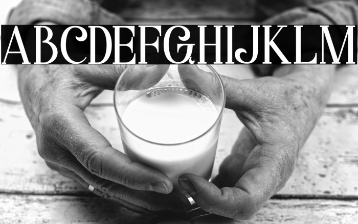 Starla Bold Example 2