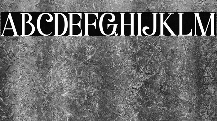 Starla Bold Example 3