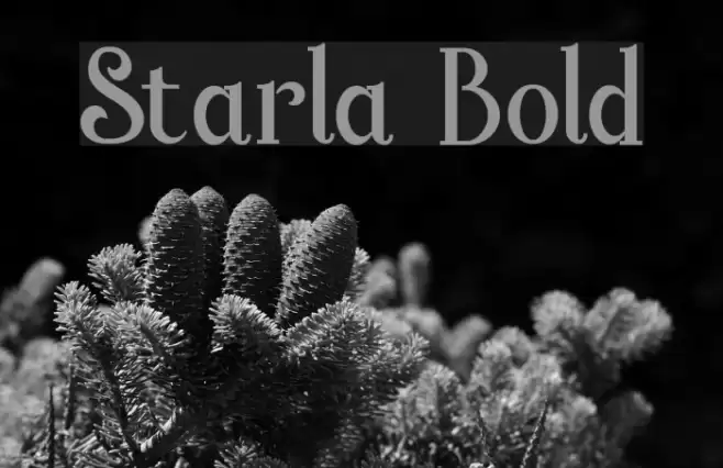 Starla Bold Font examples