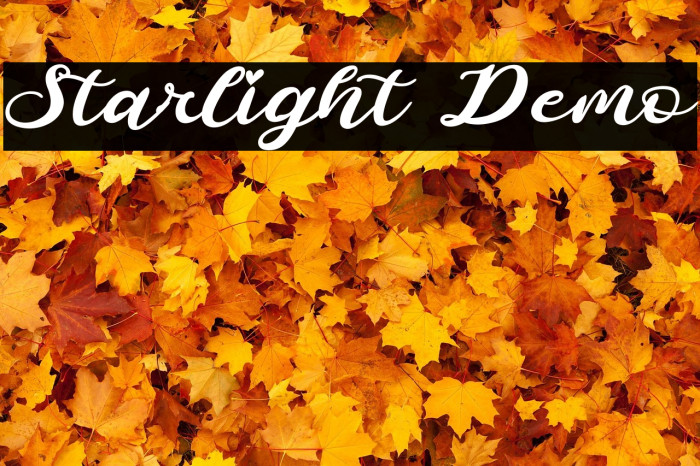 Starlight Demo Example 2
