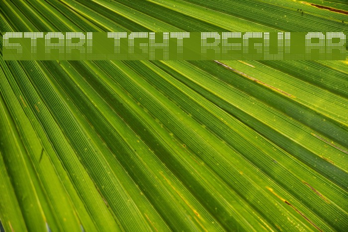 Starlight Regular Example 2