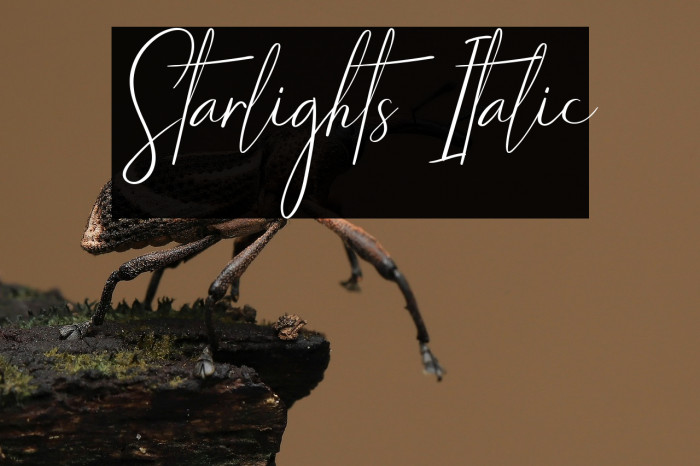Starlights Italic Example 1