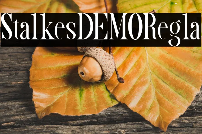 Starlikes DEMO Regular Example 1