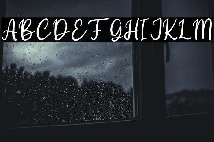 Starling Bright Personal Use Example 2