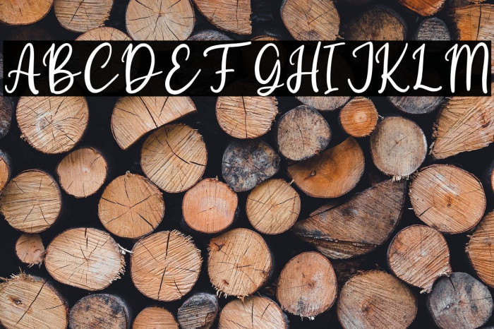 Starling Bright Personal Use Example 3