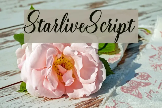 StarliveScript Example 3