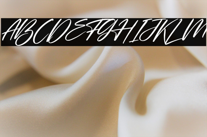 Starlla Italic Example 1