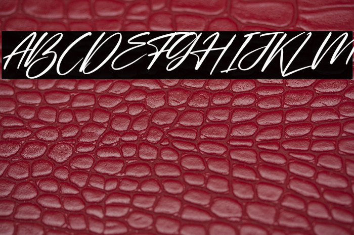 Starlla Italic Example 3