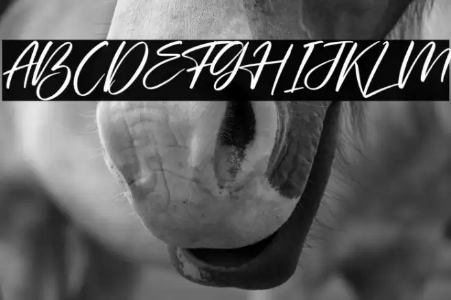 Starlla Font examples