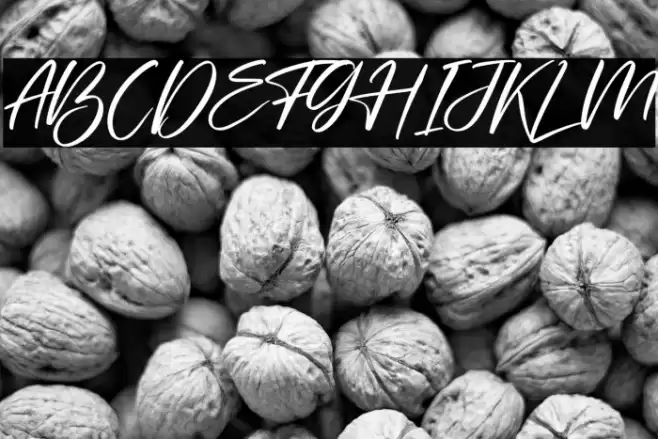 Starlla Font examples