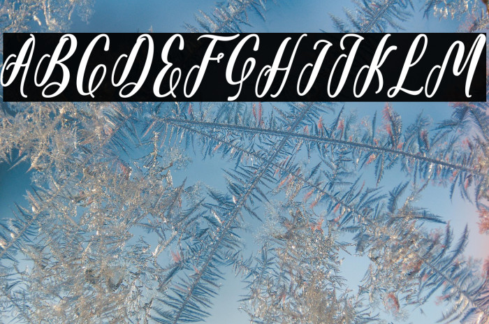 Starlove Demo Example 2