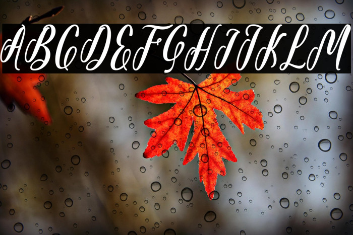 Starlove Demo Example 3