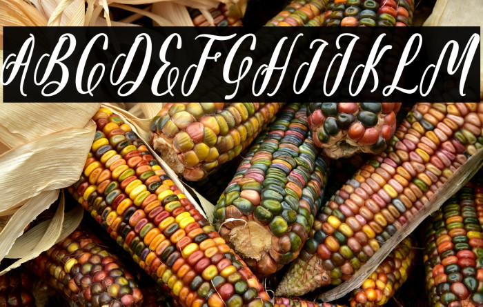 Starlove Demo Example 1