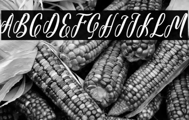 Starlove Demo Font examples