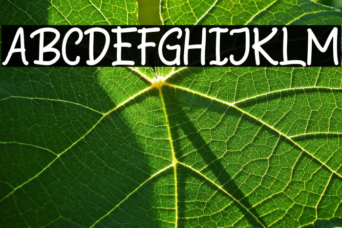 StarnightPersonalUse-Sans Example 2