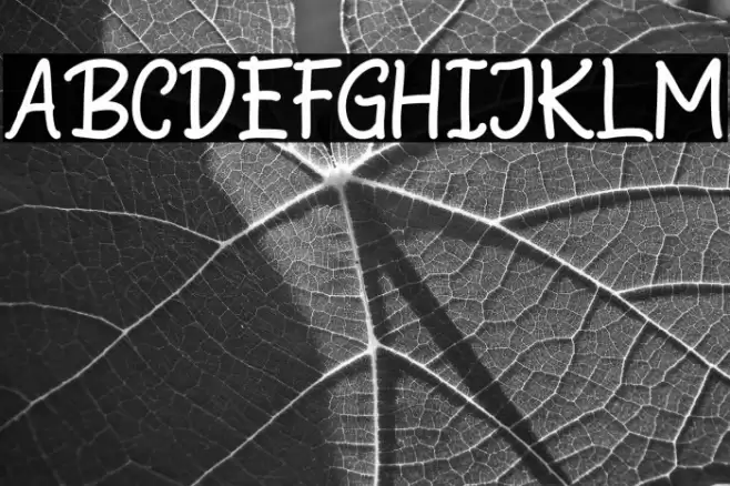 StarnightPersonalUse-Sans Fonte examples