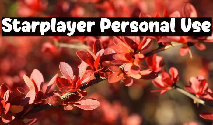 Starplayer Personal Use Example 1