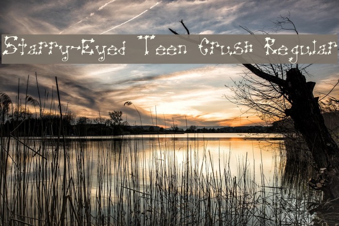 Starry-Eyed Teen Crush Regular Font examples