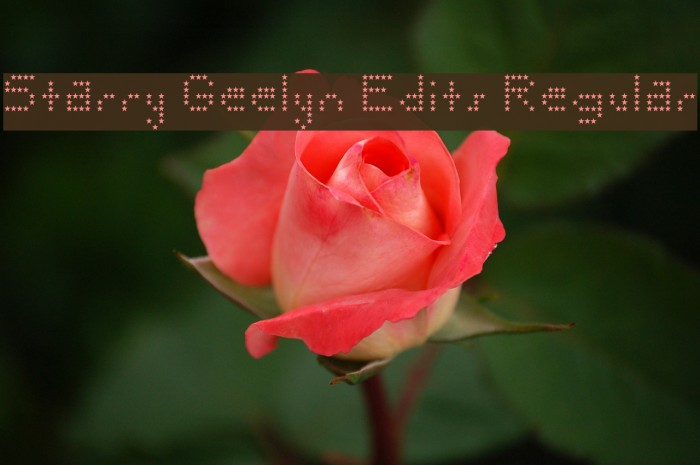 Starry Geelyn Edits Regular Font examples