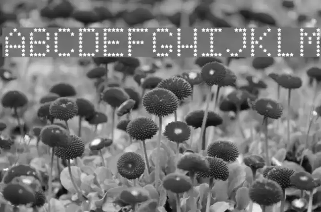 StarryTypeLA Font examples